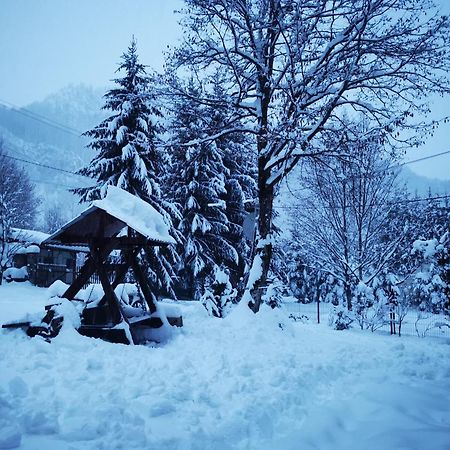 Cabana Valea Rea, Boga Boga  Εξωτερικό φωτογραφία